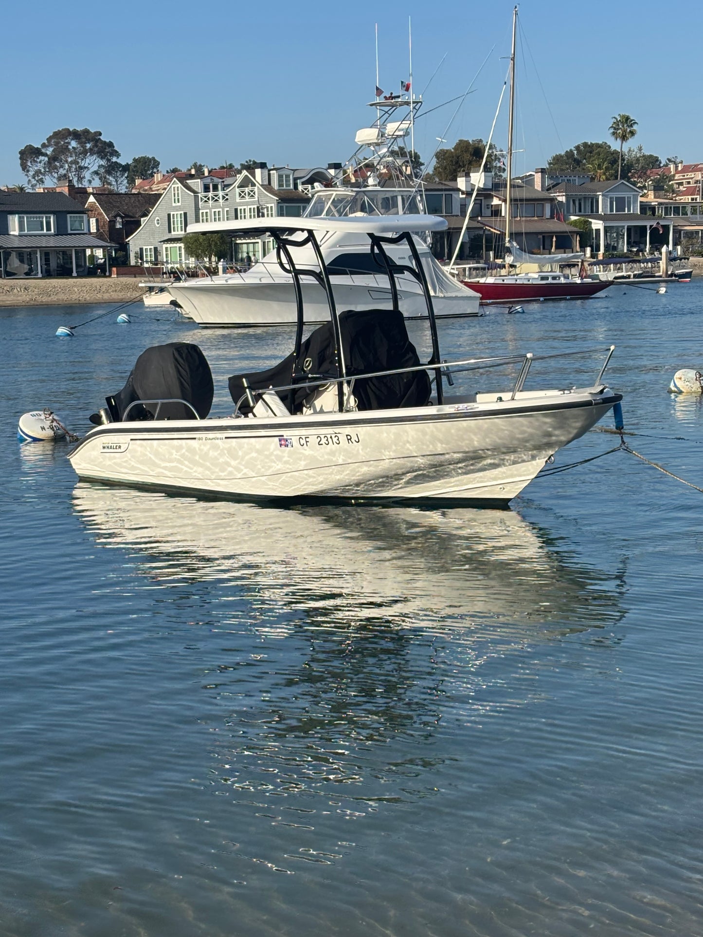 t top for boston whaler dauntless