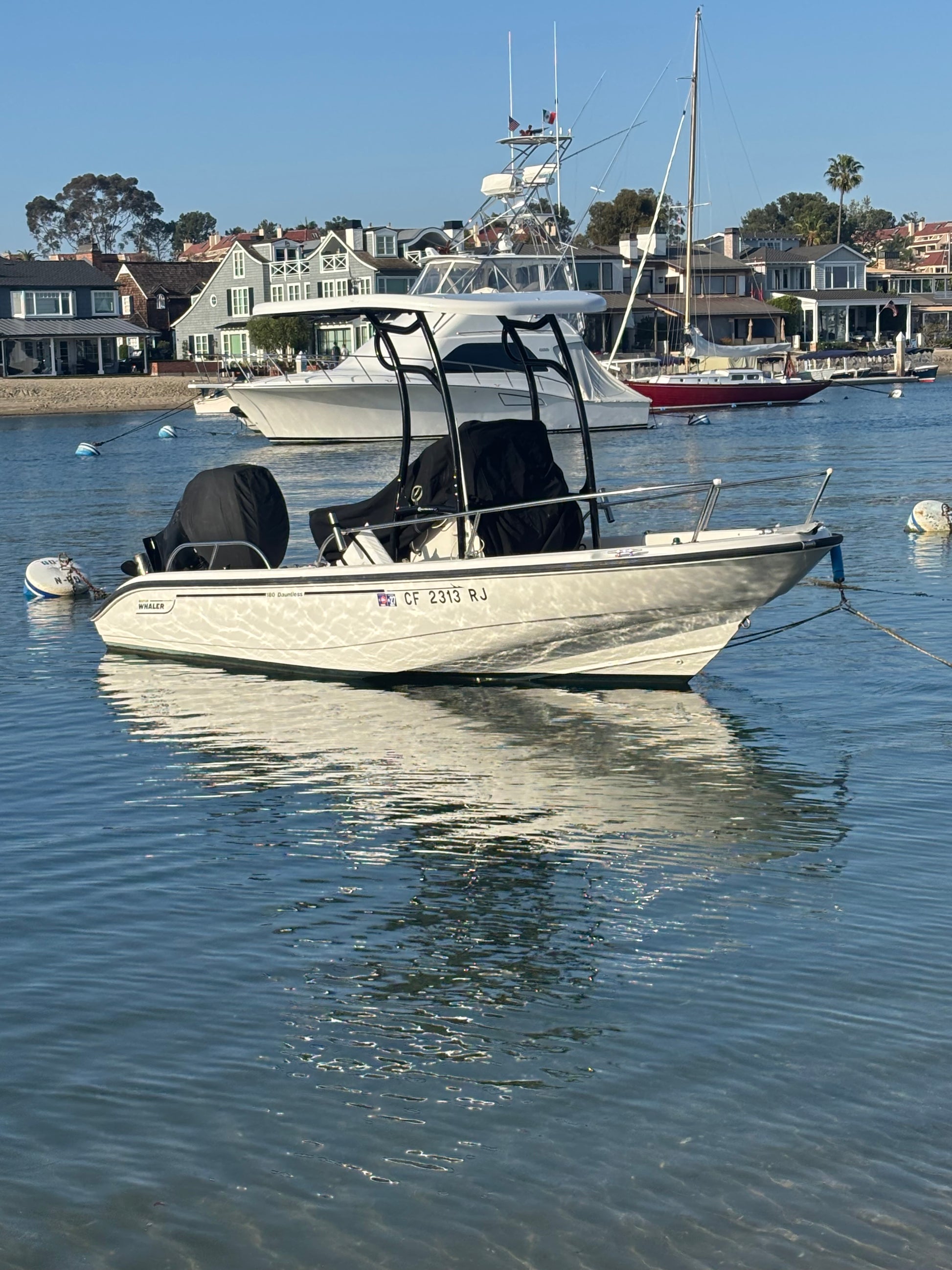 t top for boston whaler dauntless